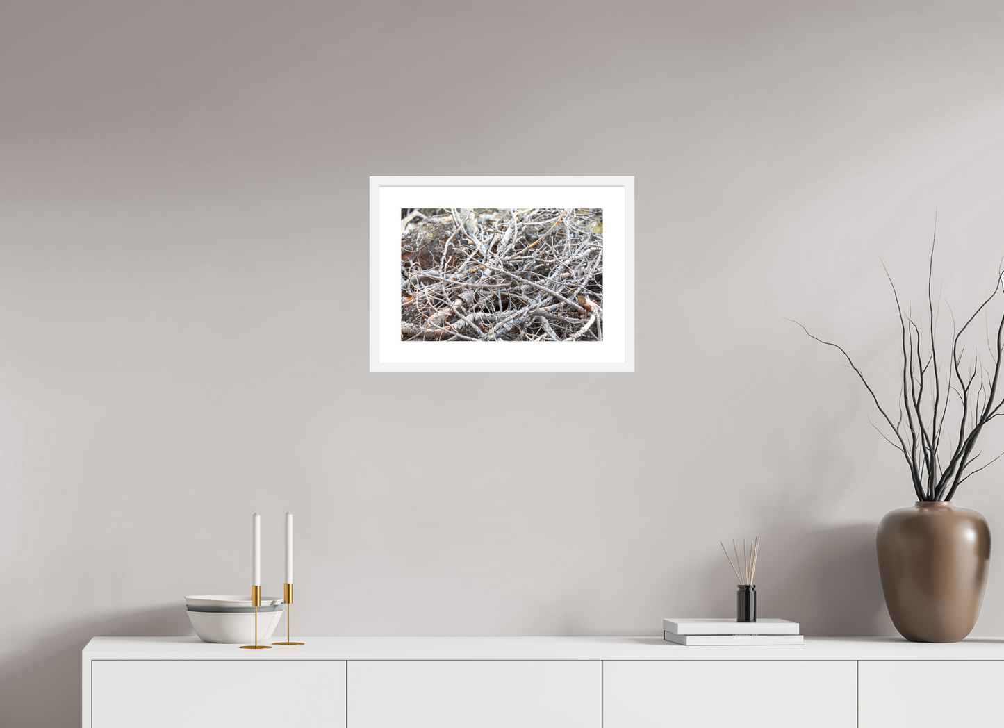 Forest Floor
