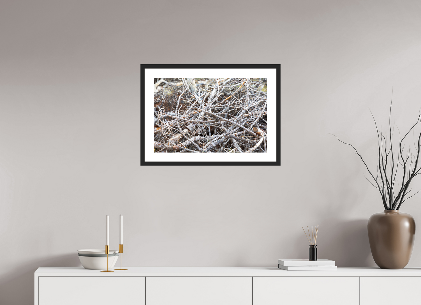 Forest Floor