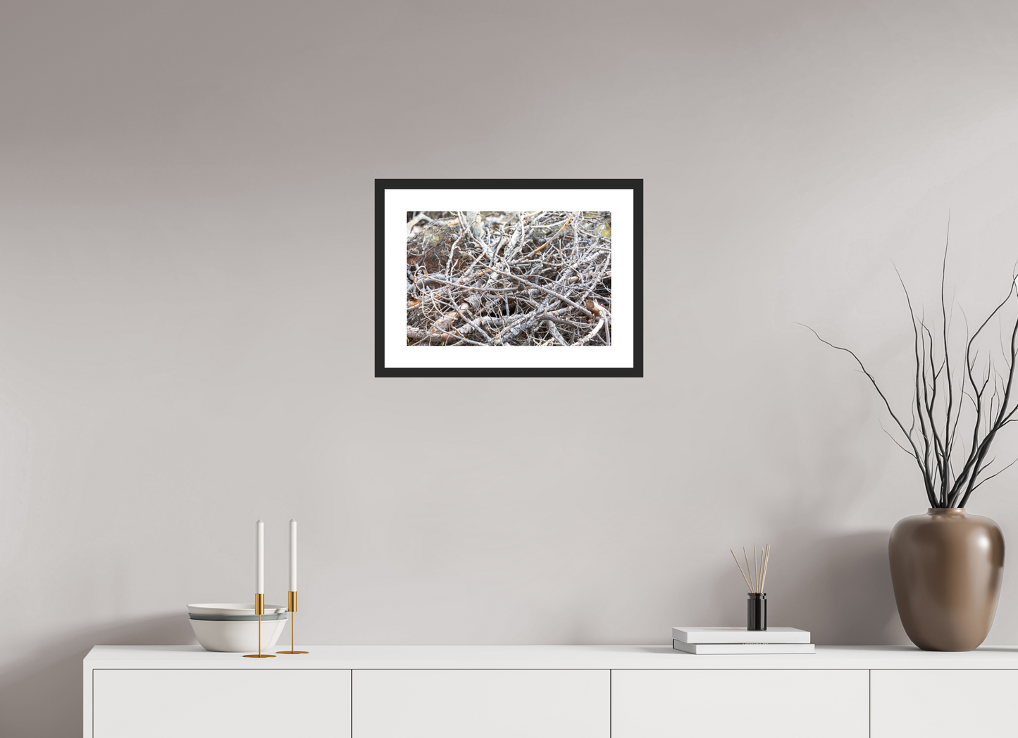 Forest Floor