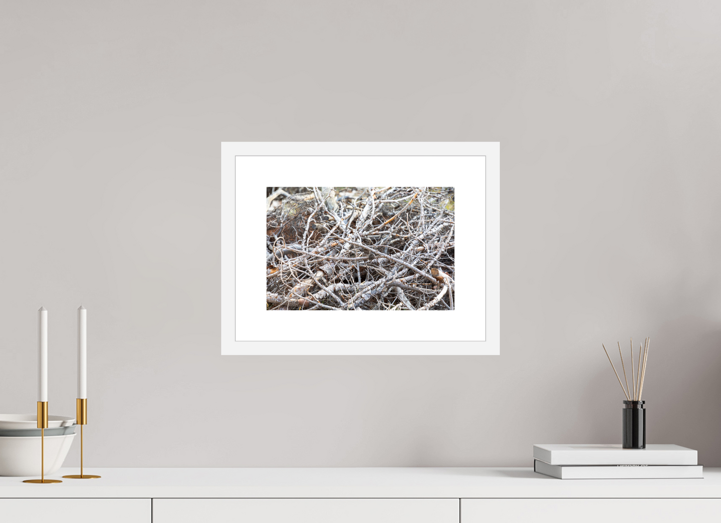 Forest Floor