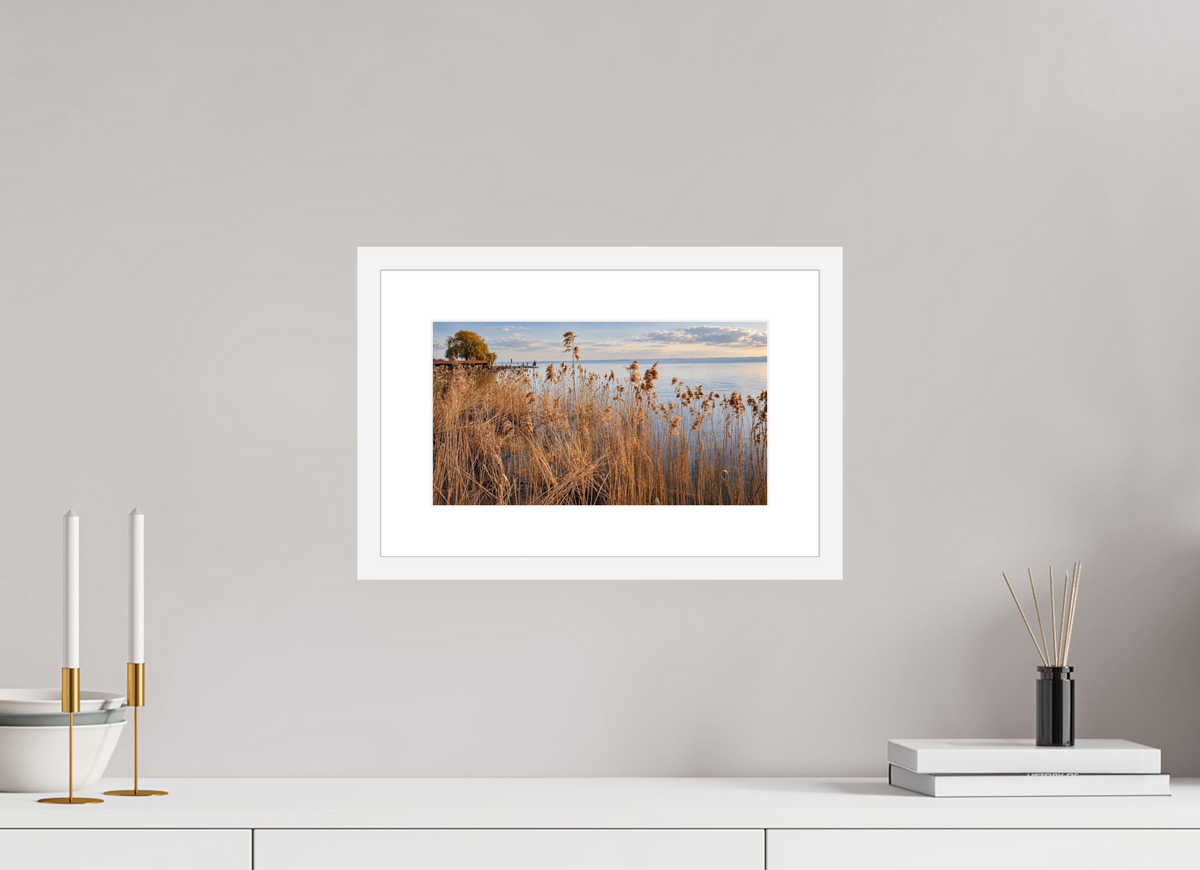 32 x 18 cm, Fineartprint im Rahmen - weiß Golden Reeds