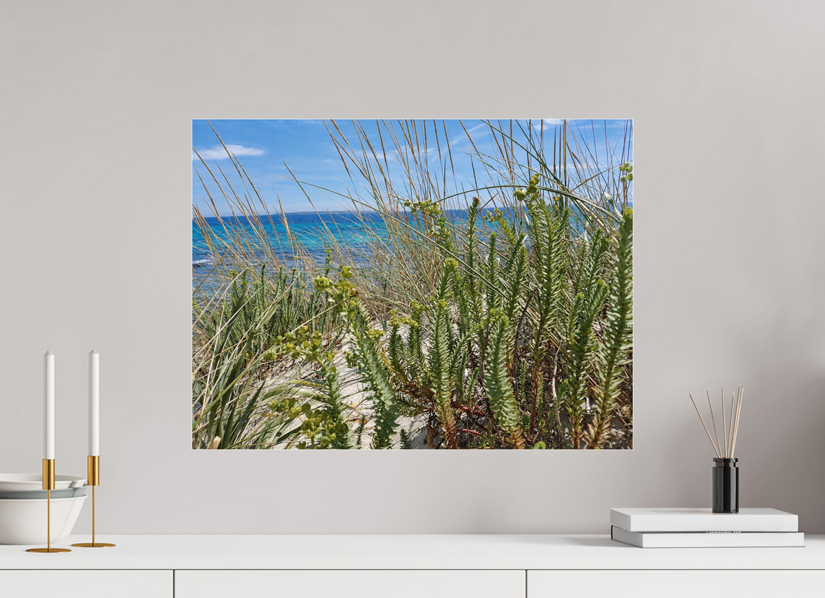 60 x 45 cm, Photo Print Under Acrylic Glass Wild Coastal Grace
