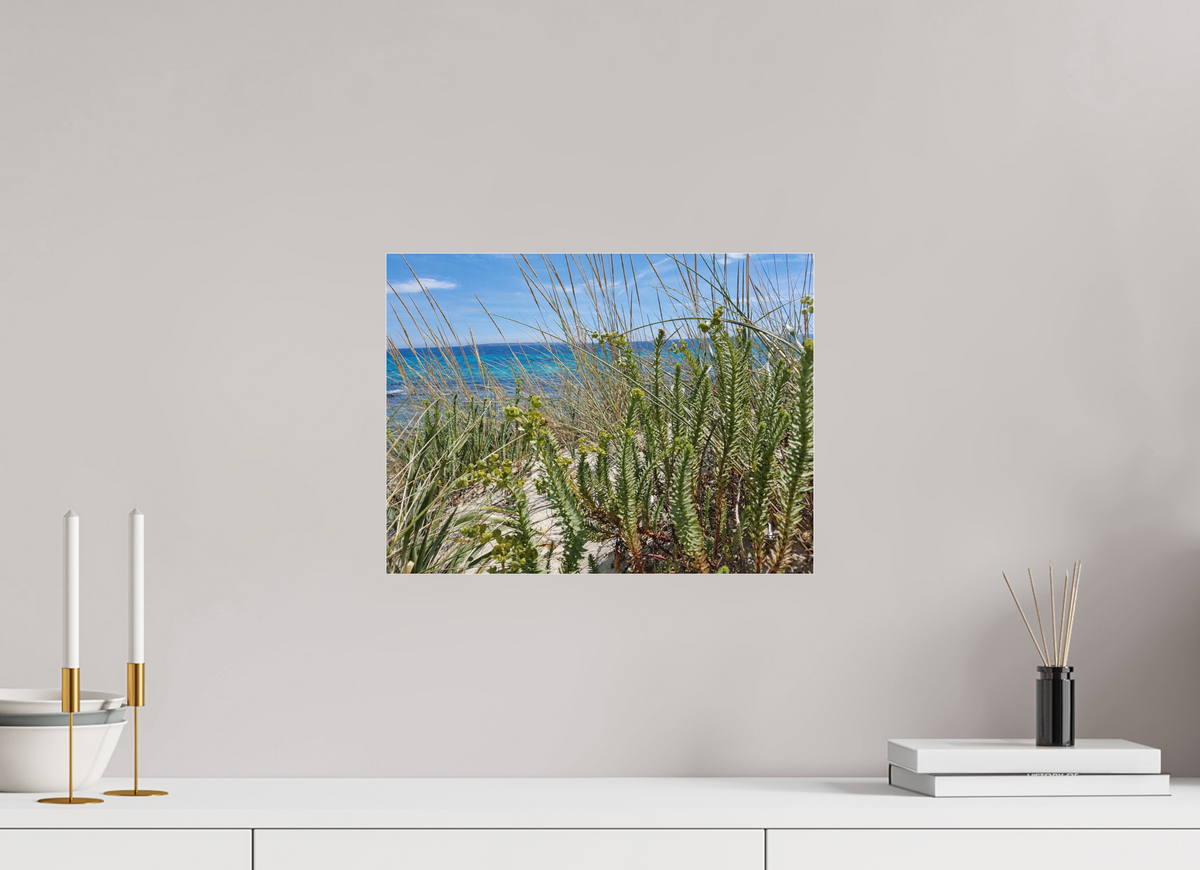 40 x 30 cm, Photo Print Under Acrylic Glass Wild Coastal Grace