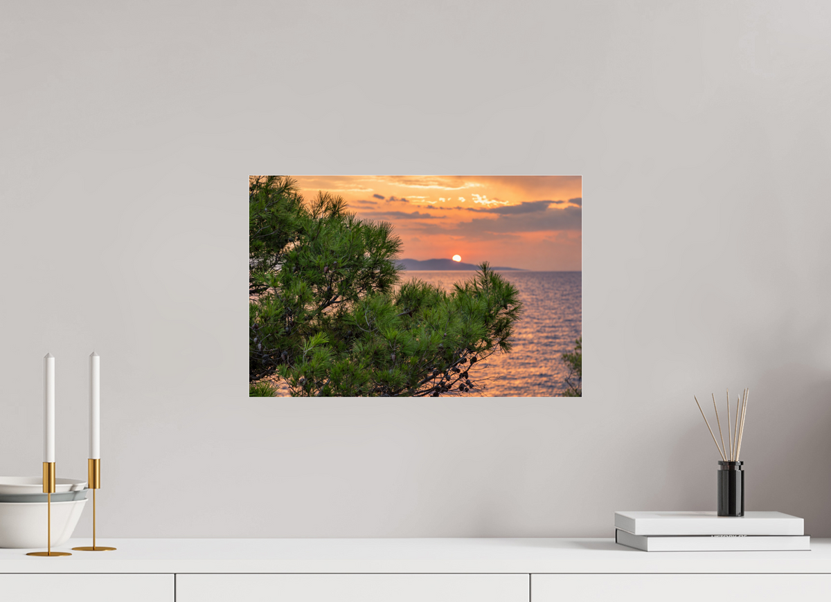45 x 30 cm, Photo Print Under Acrylic Glass Pines in the Last Light