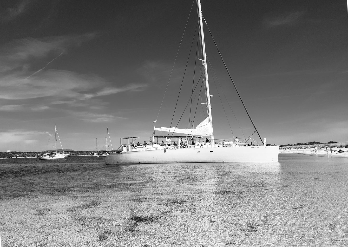 Catamaran