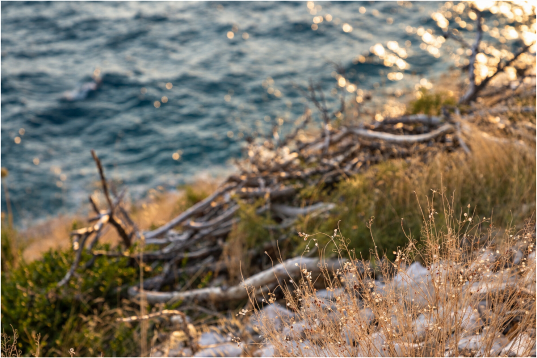 Main image Coastal Whispers