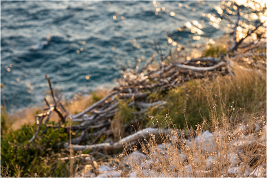 Main image Coastal Whispers