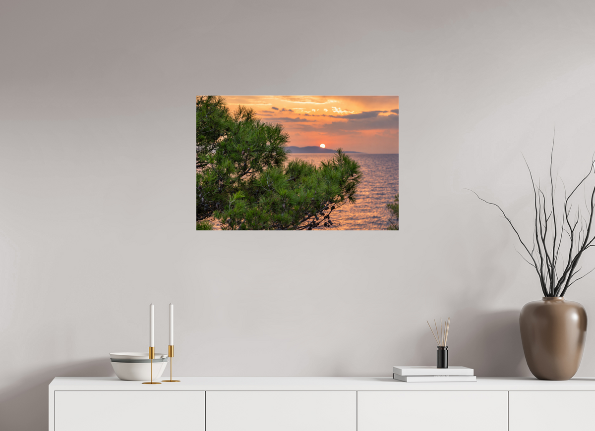 75 x 50 cm, Photo Print Under Acrylic Glass Pines in the Last Light