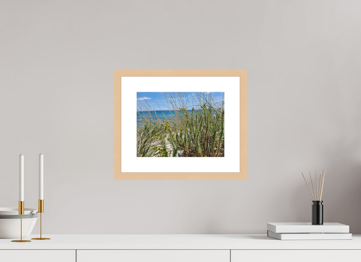 28 x 21 cm, Fineartprint im Rahmen - natur Wild Coastal Grace