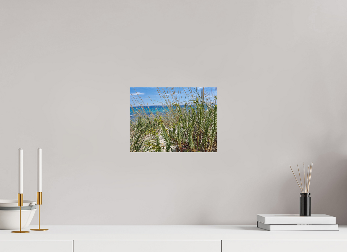 28 x 21 cm, Photo Print Under Acrylic Glass Wild Coastal Grace