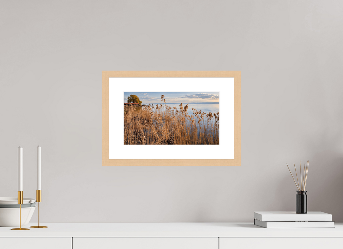 32 x 18 cm, Fineartprint im Rahmen - natur Golden Reeds