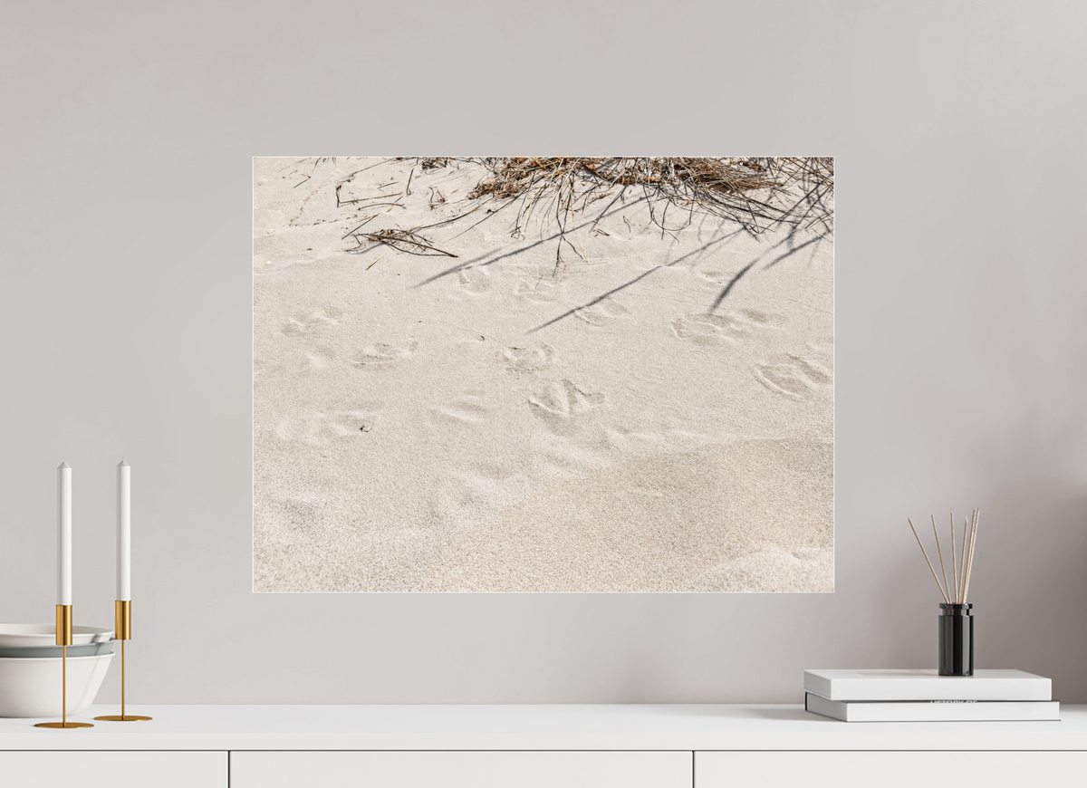 60 x 45 cm, Photo Print Under Acrylic Glass Traces in the Sand