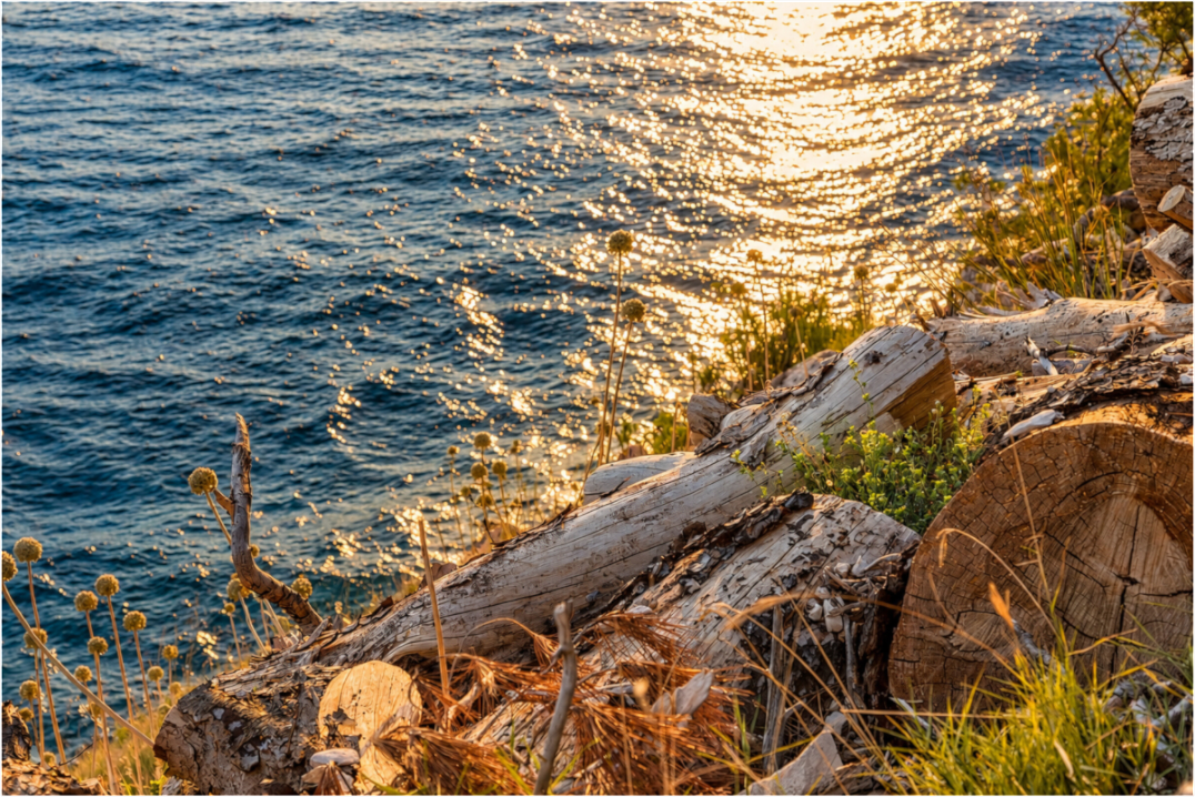 Main image Coastal Golden Light