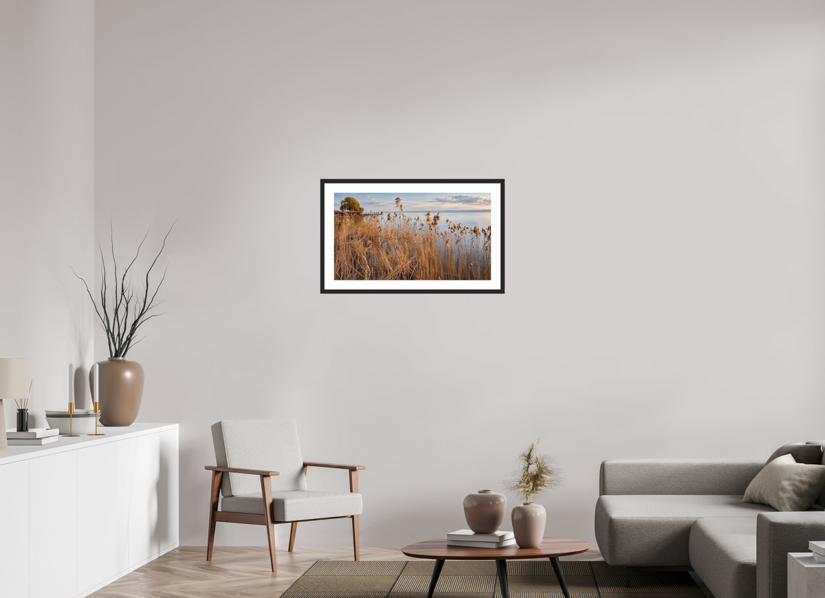 80 x 45 cm, Fineartprint im Rahmen - schwarz Golden Reeds