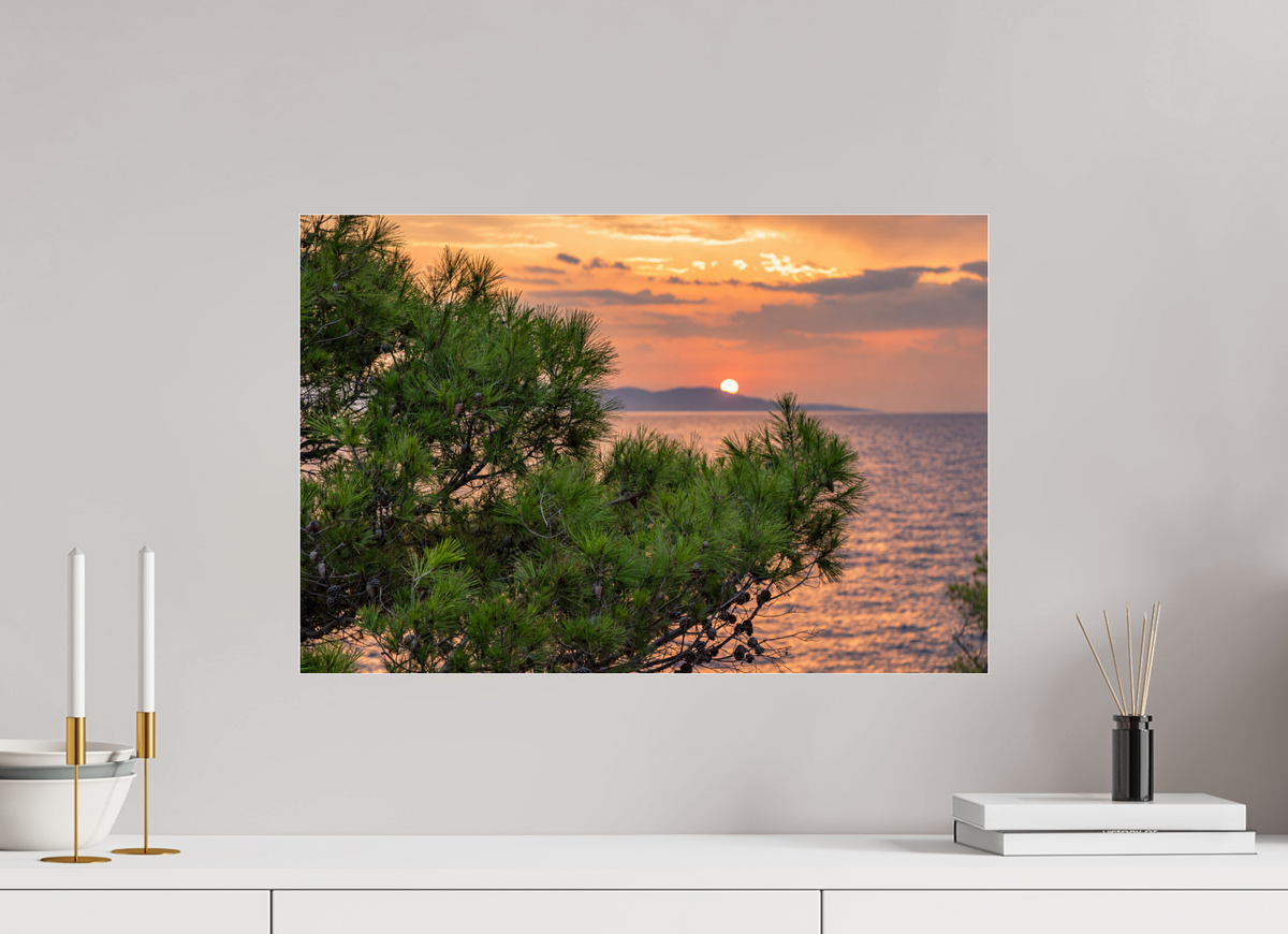 60 x 40 cm, Photo Print Under Acrylic Glass Pines in the Last Light