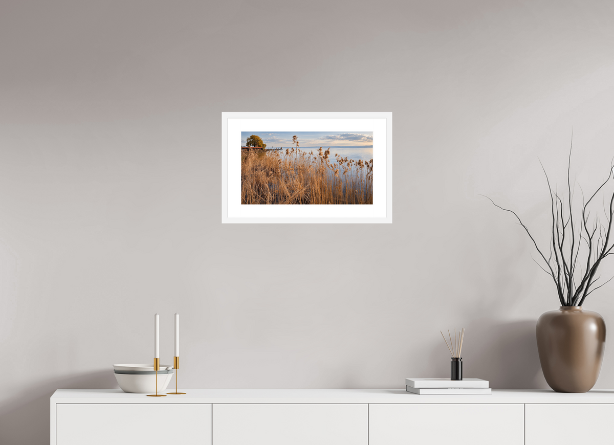 48 x 27 cm, Fineartprint im Rahmen - weiß Golden Reeds