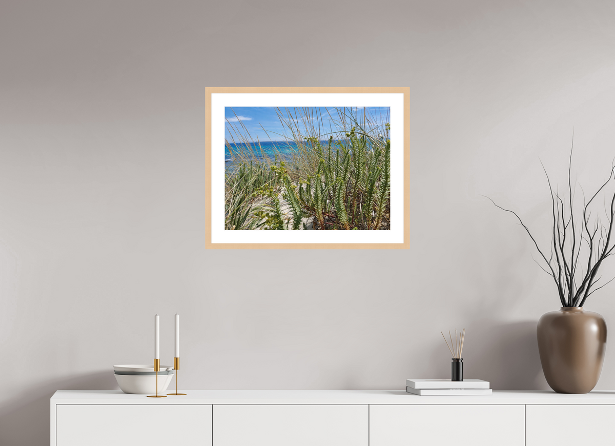 60 x 45 cm, Fineartprint im Rahmen - natur Wild Coastal Grace