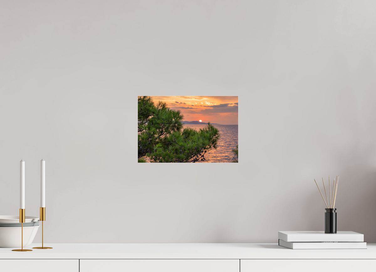 30 x 20 cm, Photo Print Under Acrylic Glass Pines in the Last Light