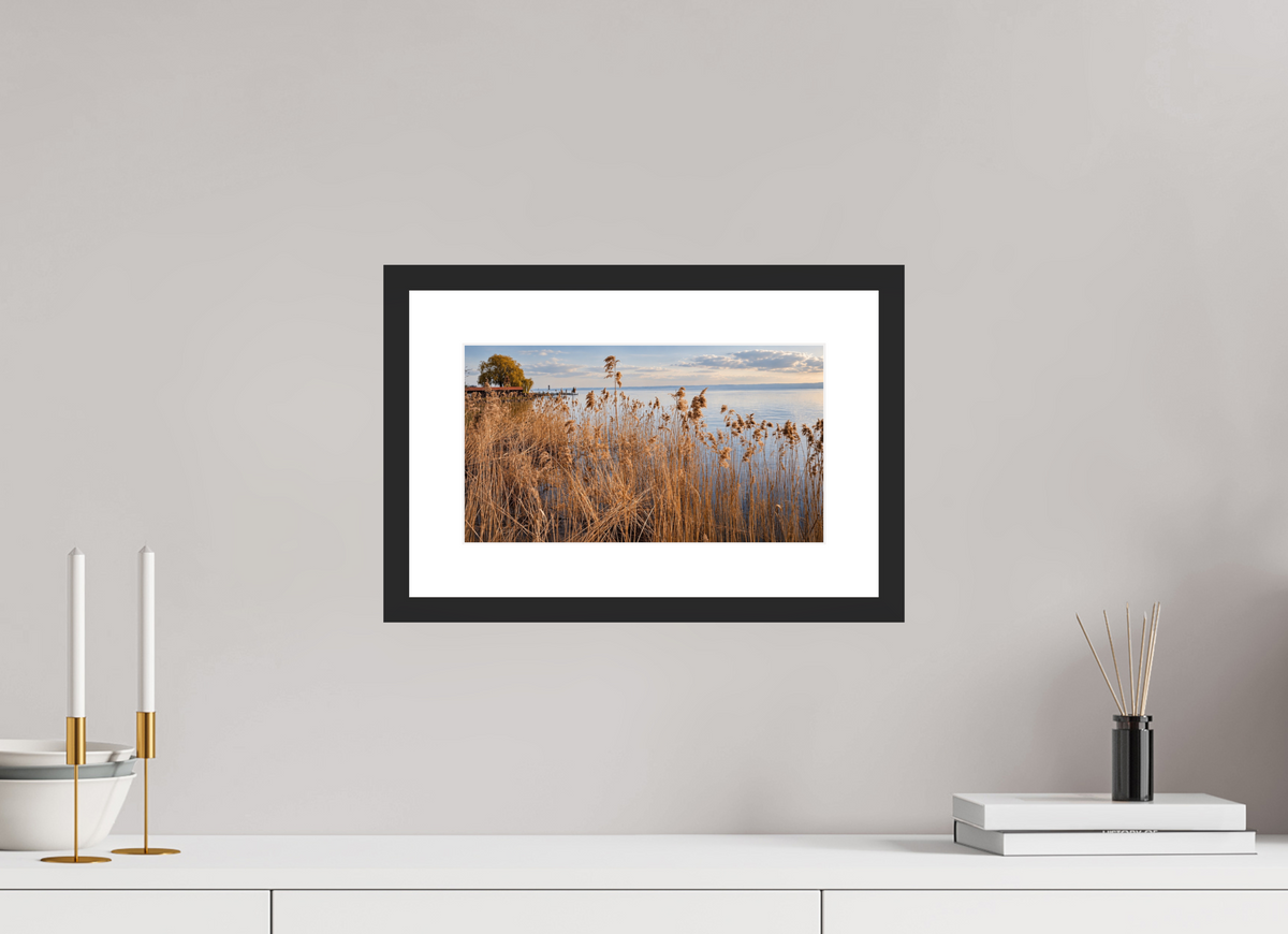 32 x 18 cm, Fineartprint im Rahmen - schwarz Golden Reeds