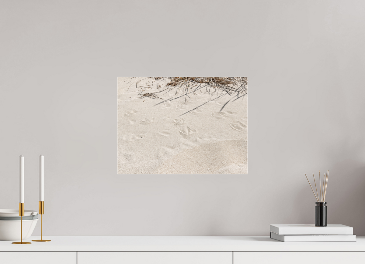 40 x 30 cm, Photo Print Under Acrylic Glass Traces in the Sand