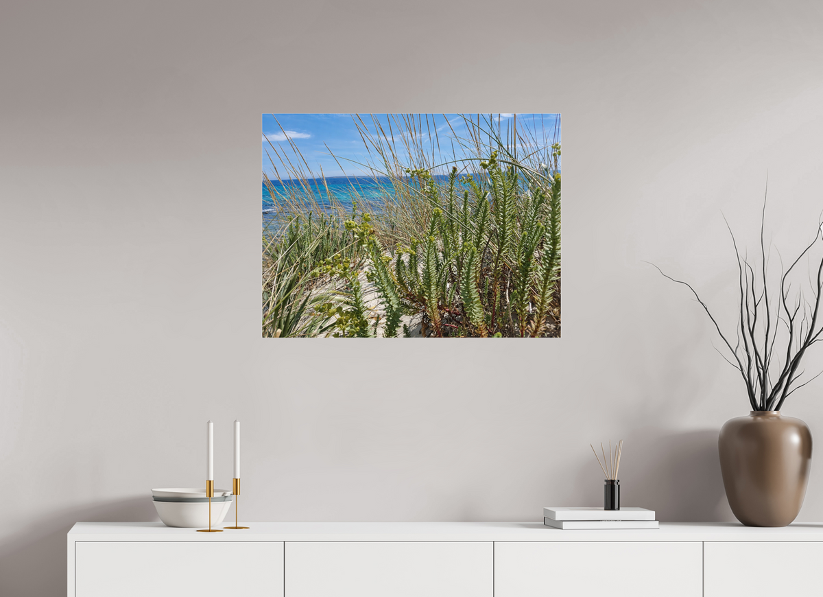 80 x 60 cm, Photo Print Under Acrylic Glass Wild Coastal Grace