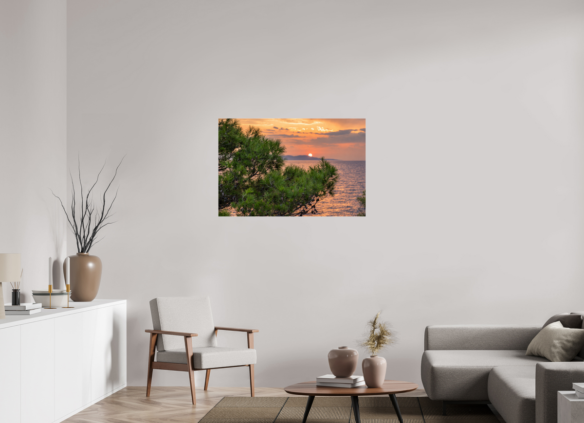 105 x 70 cm, Photo Print Under Acrylic Glass Pines in the Last Light