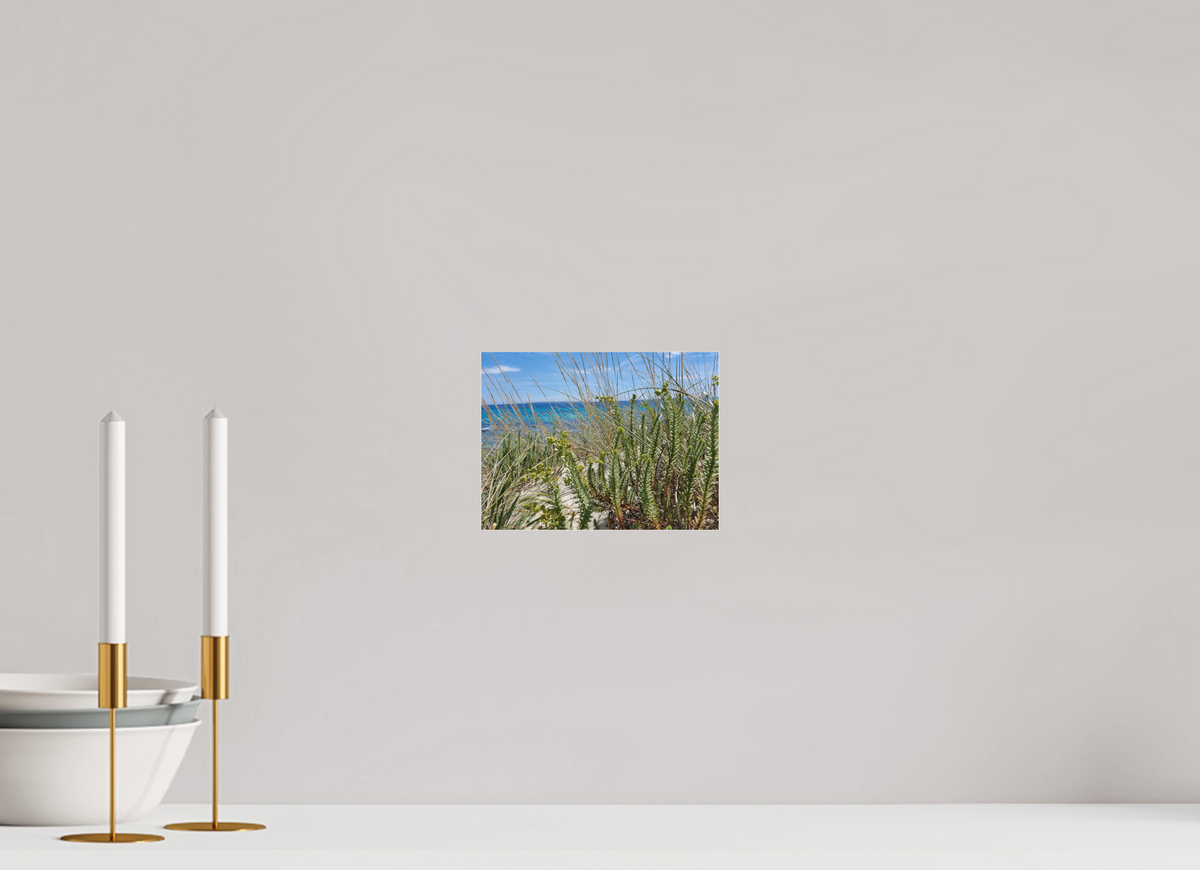 20 x 15 cm, Photo Print Under Acrylic Glass Wild Coastal Grace